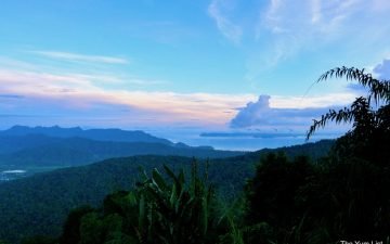 Junglewalla Eco Tours Langkawi