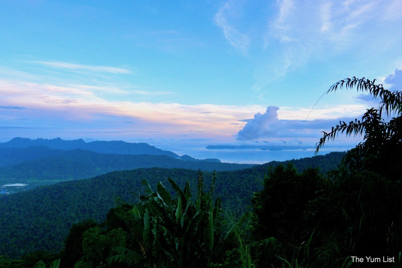 Junglewalla Eco Tours Langkawi