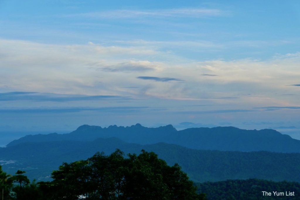 Junglewalla Eco Tours Langkawi