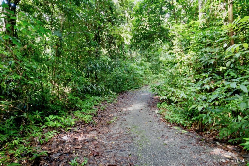 Junglewalla Eco Tours Langkawi