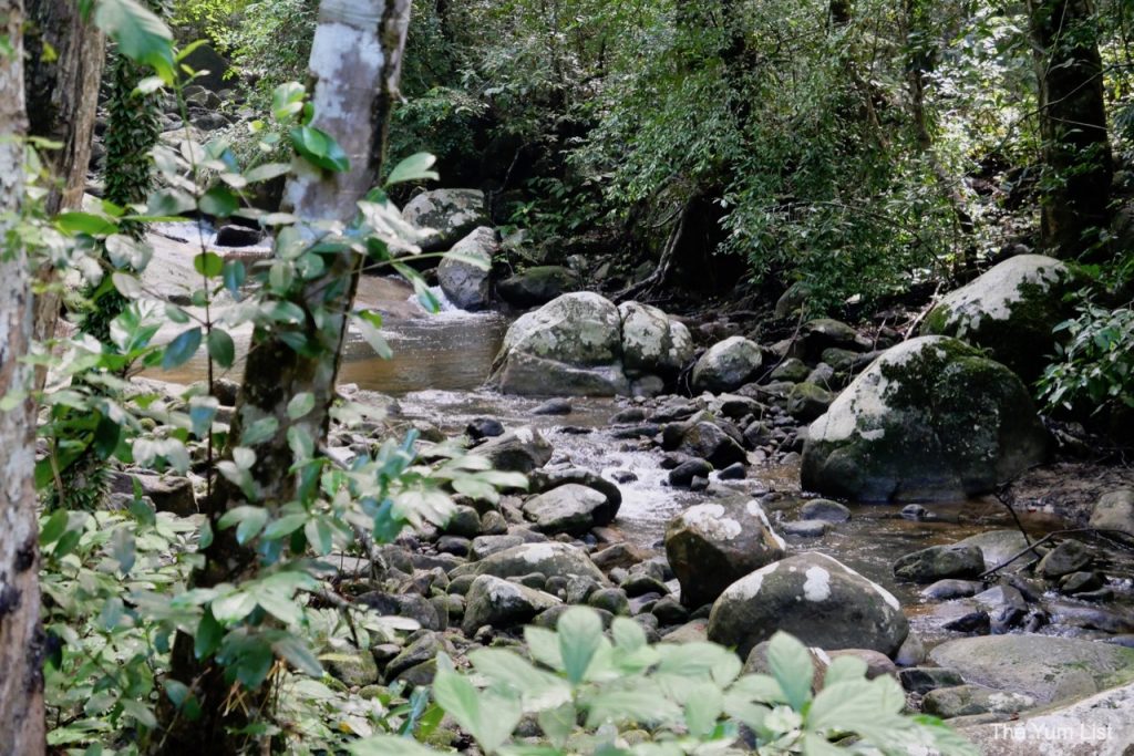 Nature Excursions Langkawi