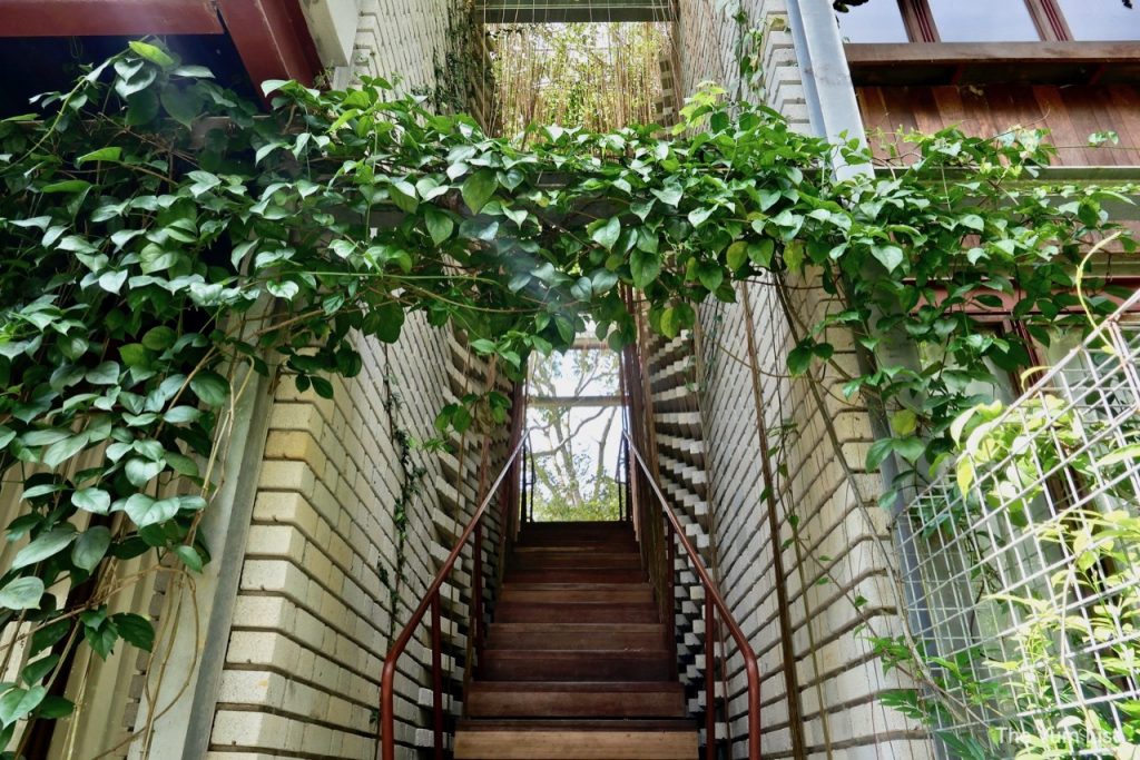 Most Photographed Staircase on the Property