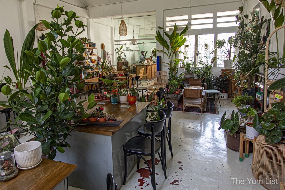 Planter Chin, Plant Cafe in Bangsar - The Yum List