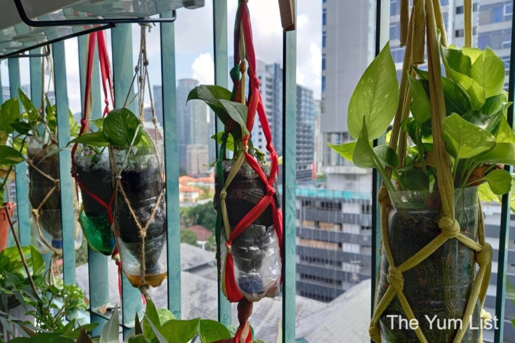 Indoor Gardening Malaysia