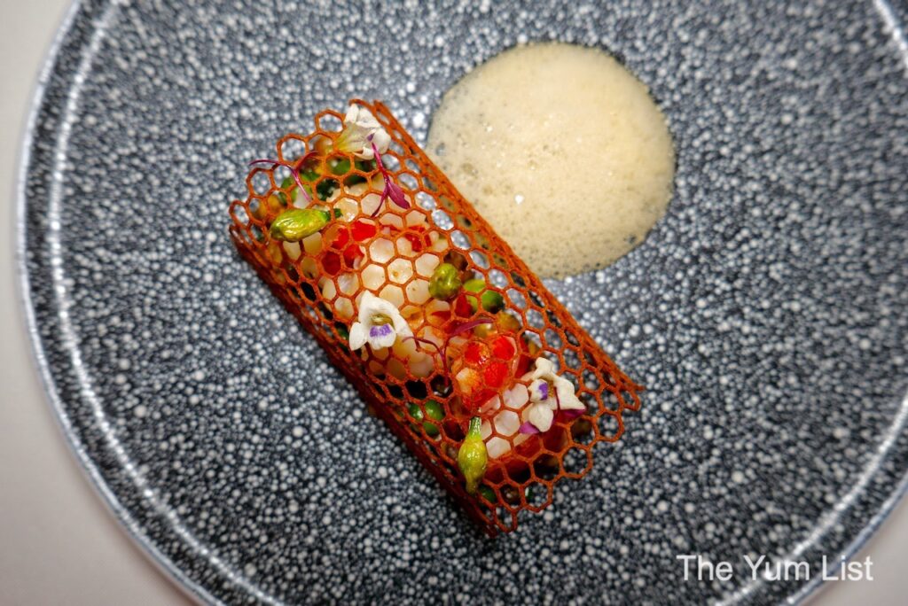 Fine Dining Penang Maine Lobster