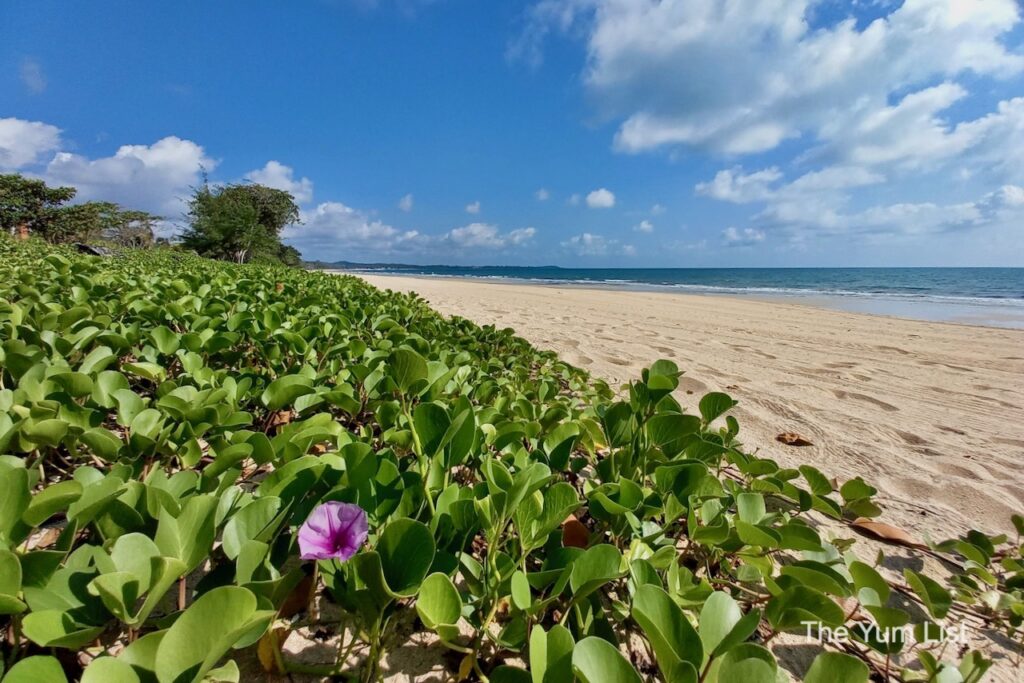 Beach Resort Desaru Coast