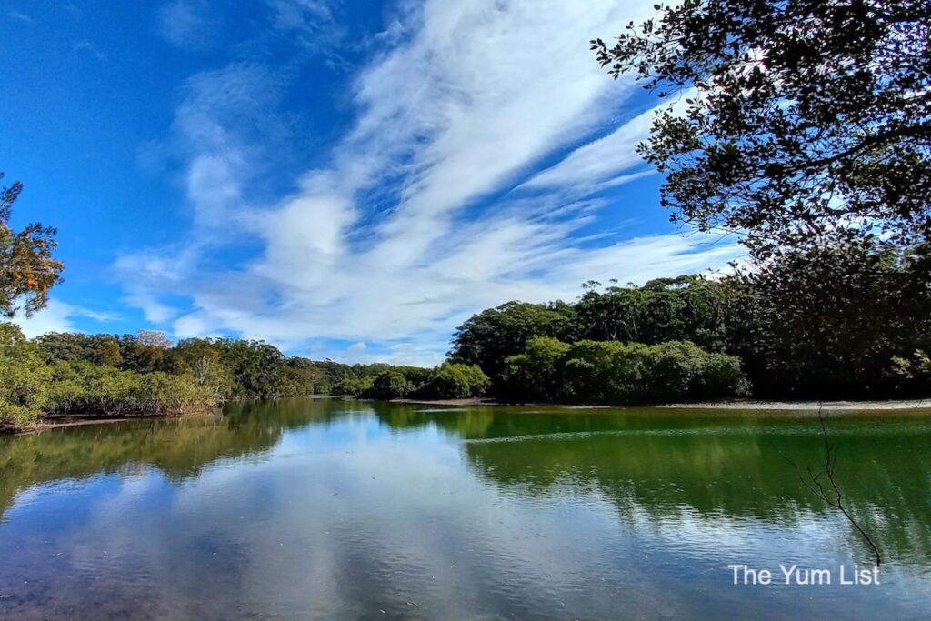 Short Scenic Walks Coffs Coast