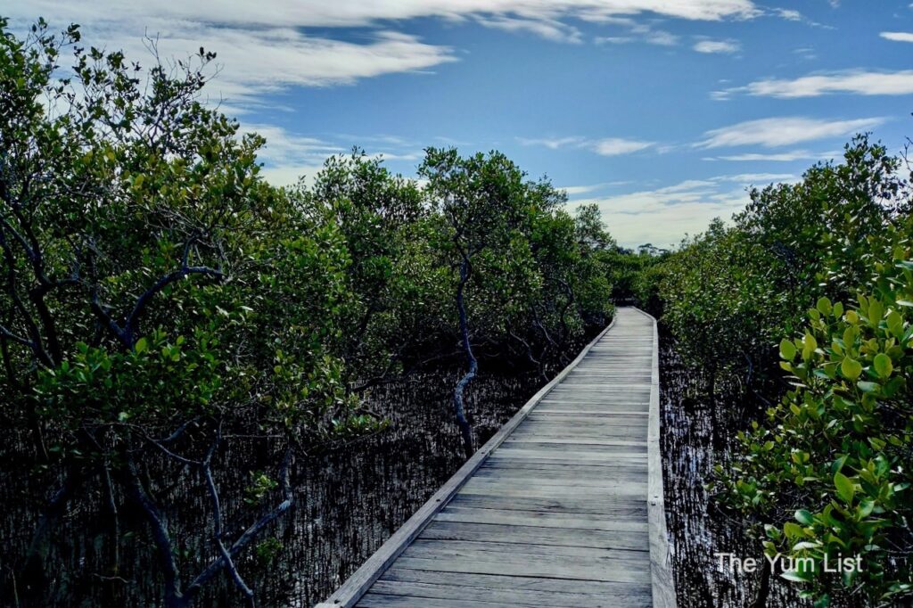 Short Scenic Walks Coffs Coast