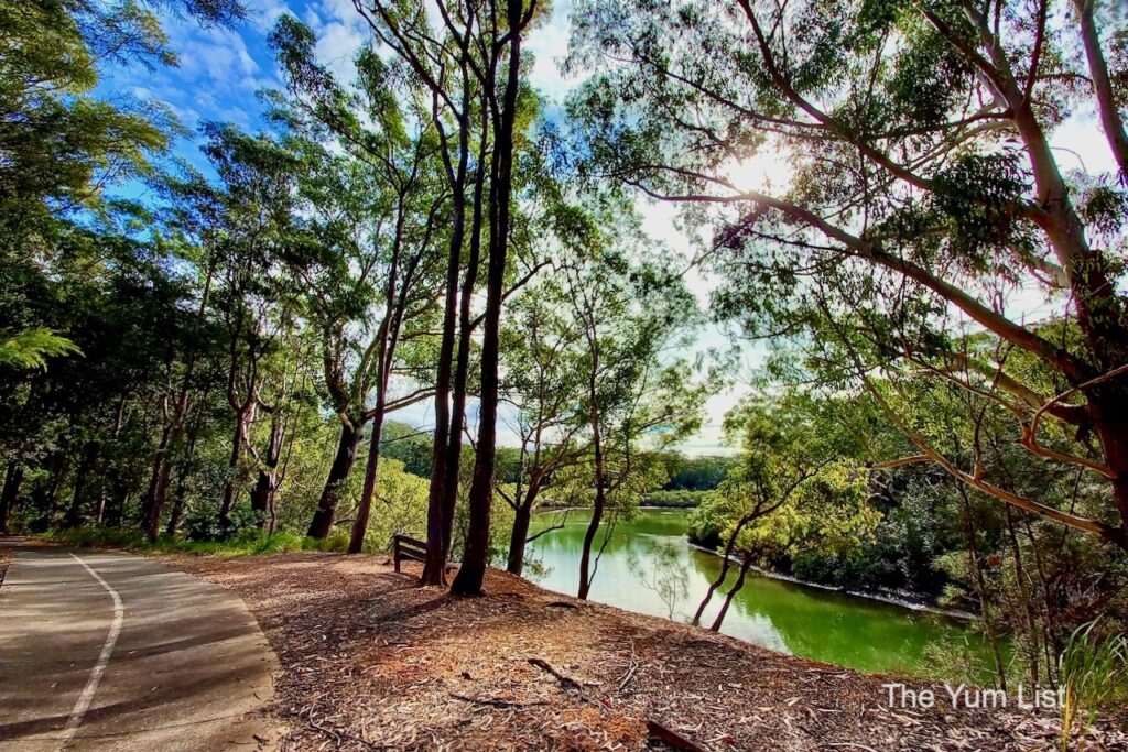 Short Scenic Walks Coffs Coast