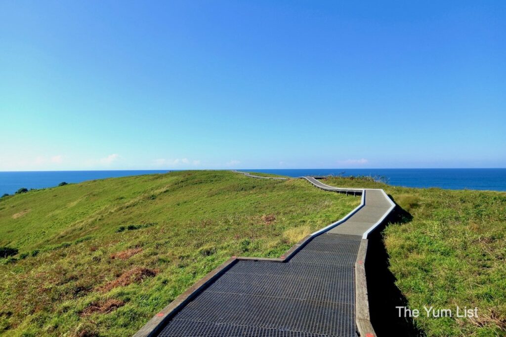 Short Scenic Walks Coffs Coast