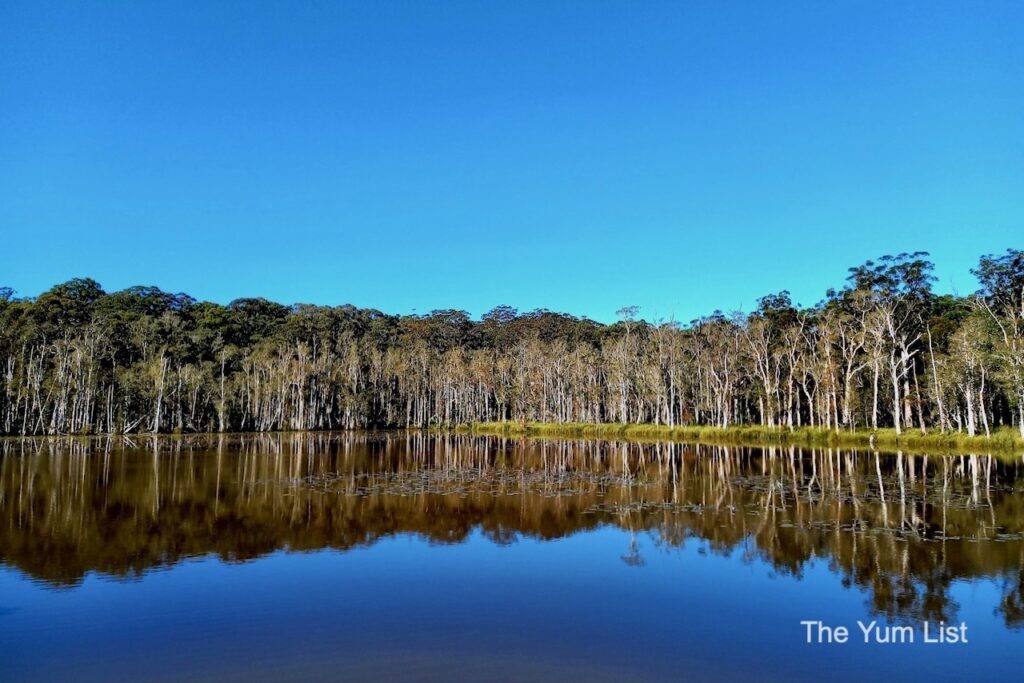 Most Beautiful Walking Trails NSW, Australia