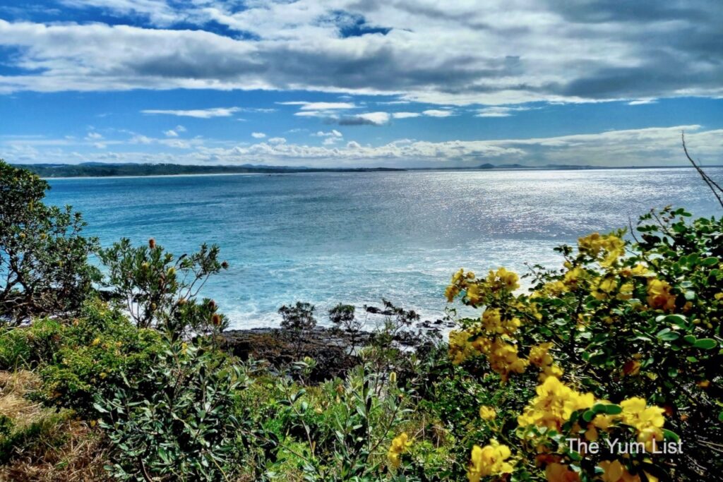 Short Scenic Walks Coffs Coast