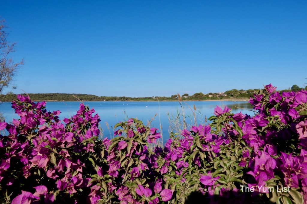 Pullman Timi Ama Sardegna