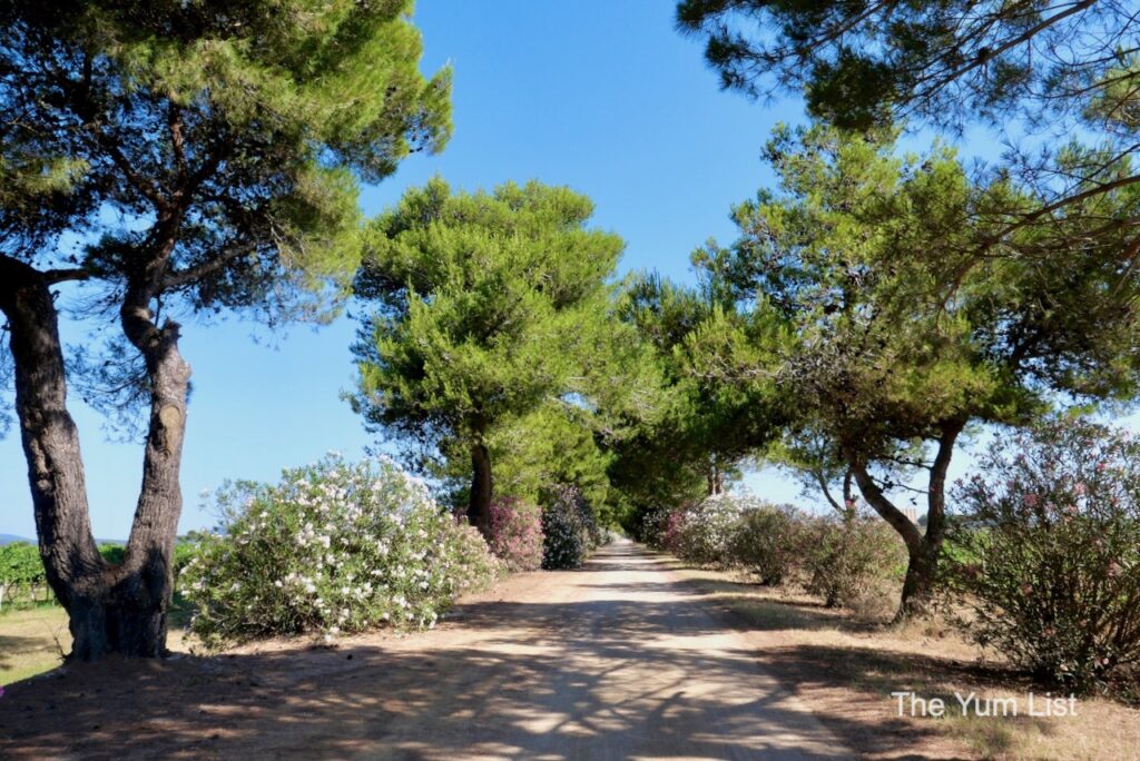 Sella & Mosca Winery Sardinia