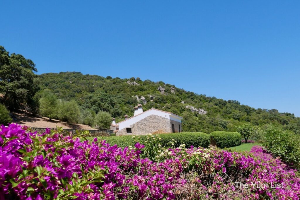 Sardinian Winery