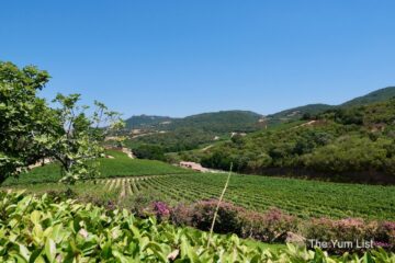 Sardinian Winery