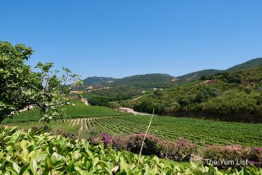 Sardinian Winery