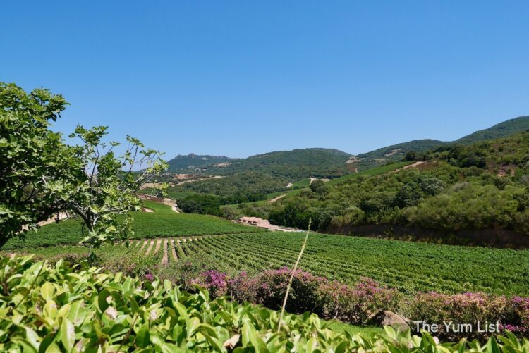 Sardinian Winery