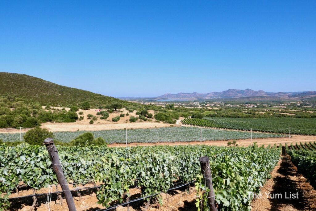 Cantina Mesa Santa Margherita