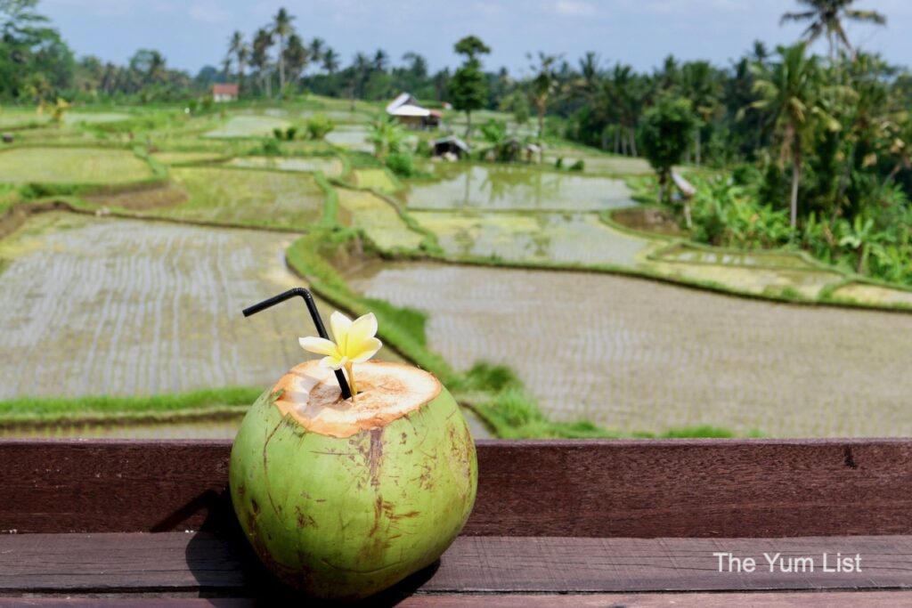 Luxury Accommodation Ubud Rice Terraces