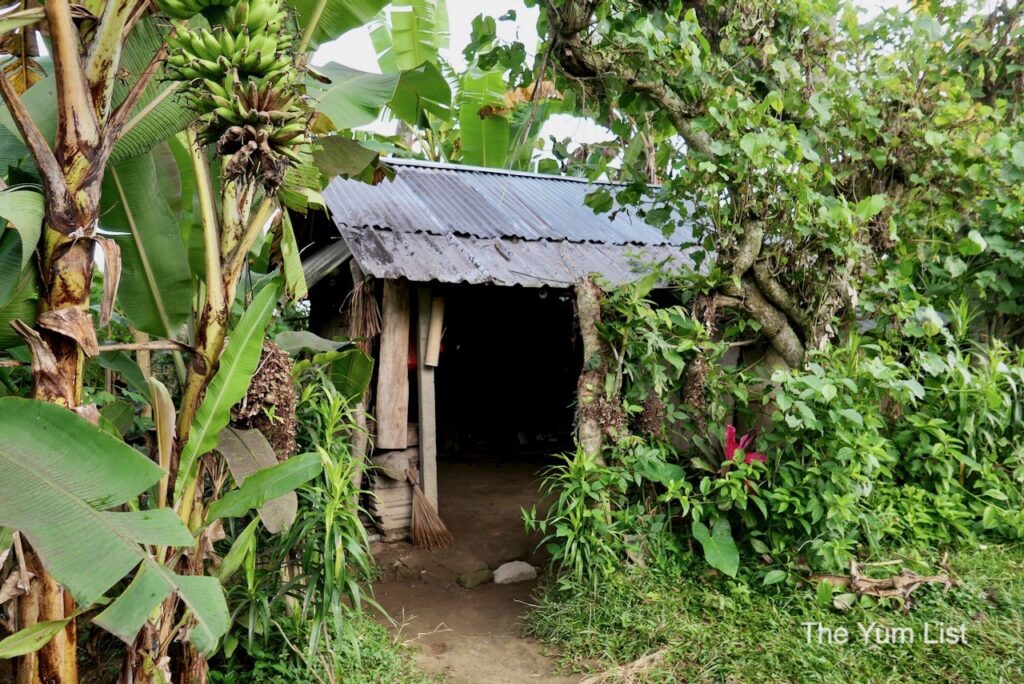 Luxury Accommodation Ubud Rice Terraces