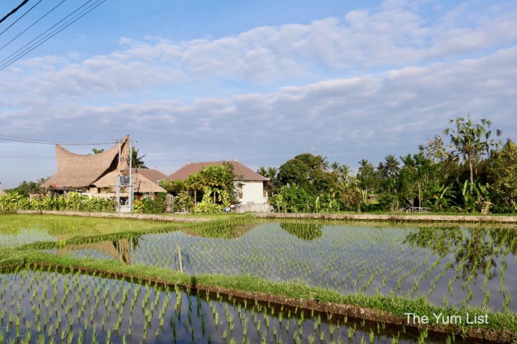 Luxury Accommodation Ubud Rice Terraces