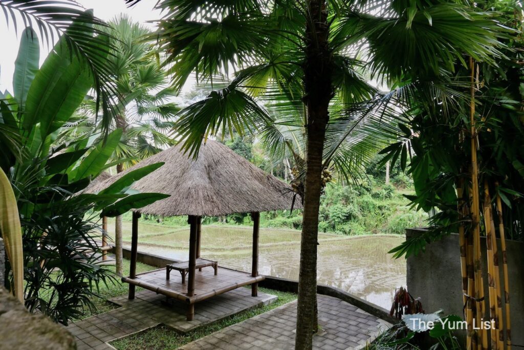 Luxury Accommodation Ubud Rice Terraces