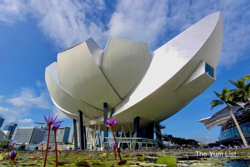 ArtScience Museum, Singapore