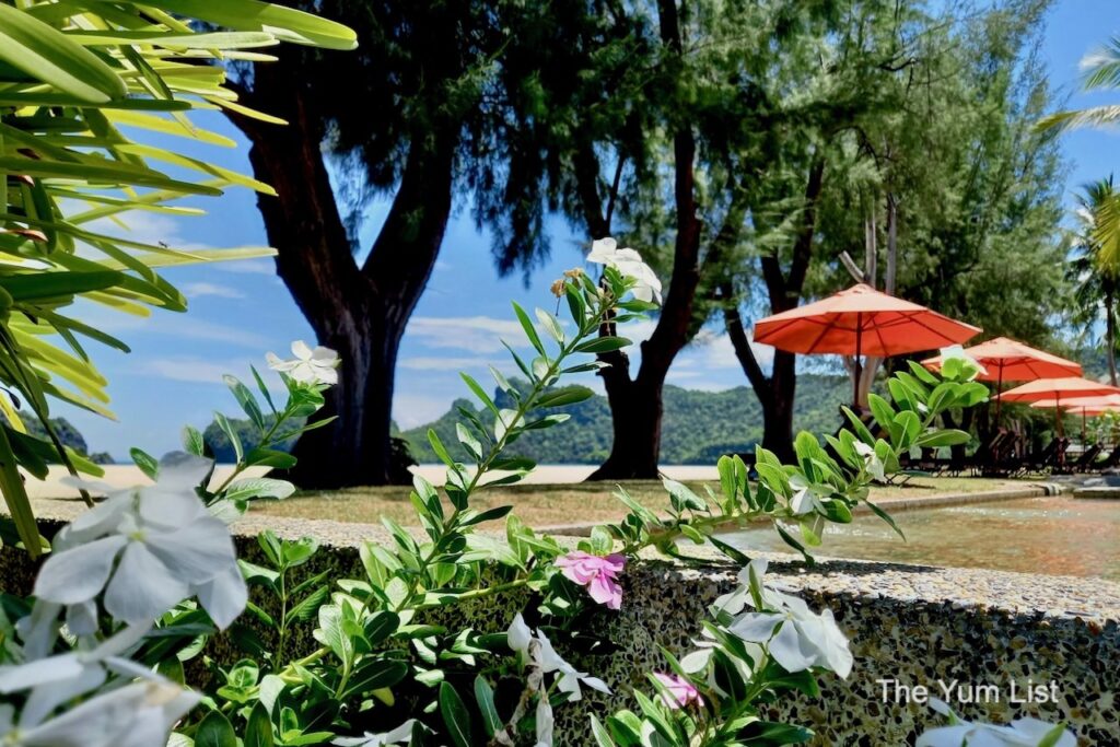 Most Beautiful Beach in Malaysia