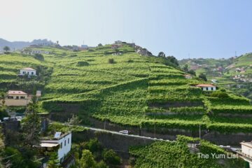 Madeira Wine Portugal