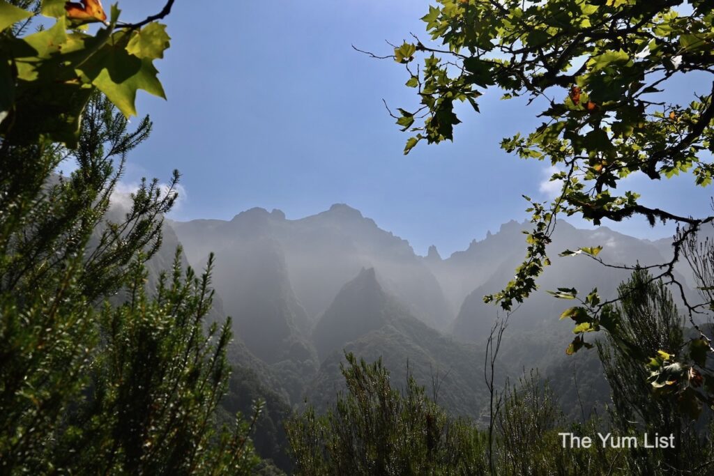 Exploring the Natural Beauty of Madeira