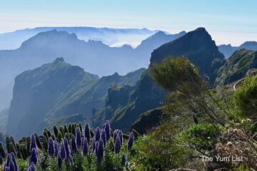 Madeira Tourism