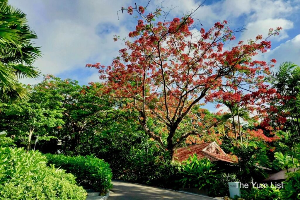 Noku Phuket Luxury Hotel