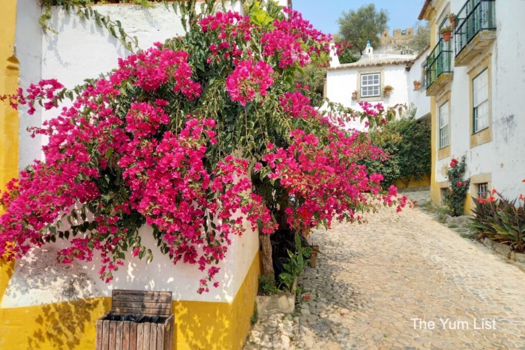 Must-visit Towns in Portugal