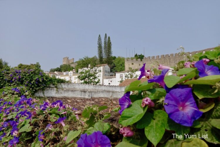 Óbidos, Medieval Village Guided Walking Tour