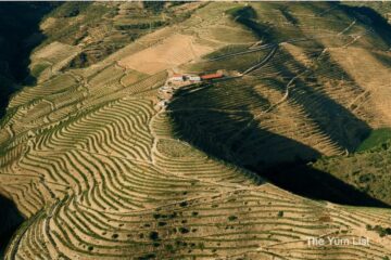 Douro Valley Wine Region, Portugal