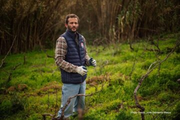 Diogo Antunes Ataíde Baeta – Vigneron, Adega Viúva Gomes