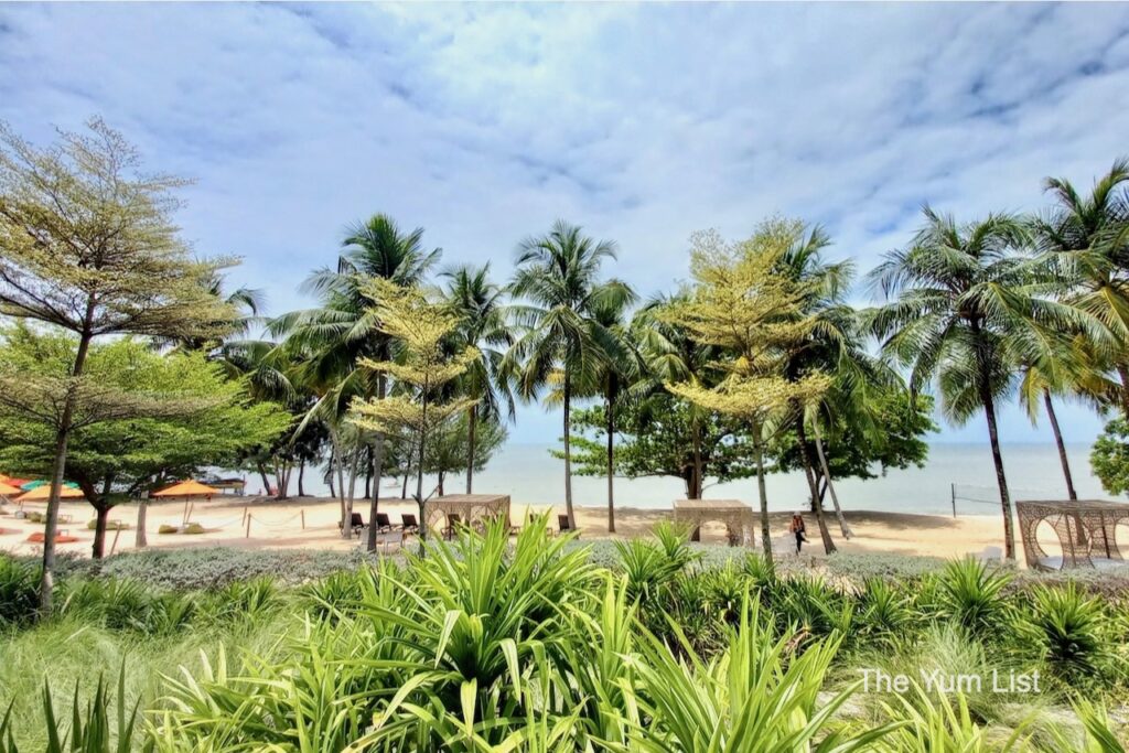 Angsana Teluk Bahang - beach area with beach huts