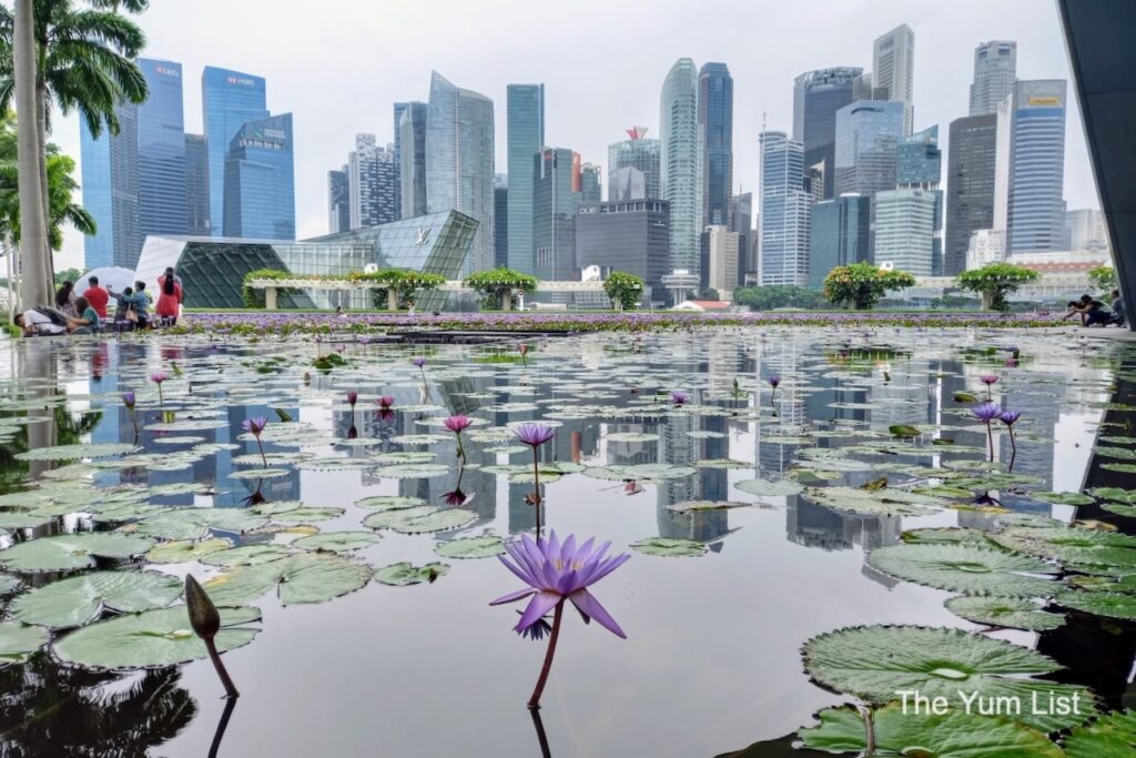 View of the City from the ArtScience Museum Singapore