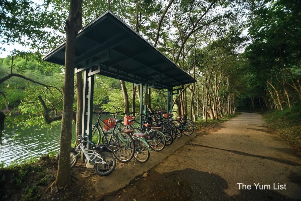 Bikes for Guests