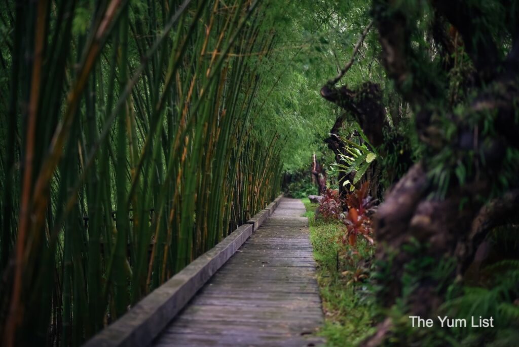 Walkway Around the Swan Lake