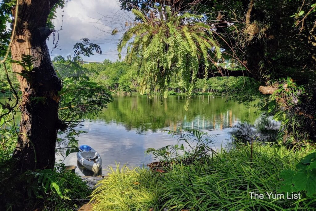 Swan Lake