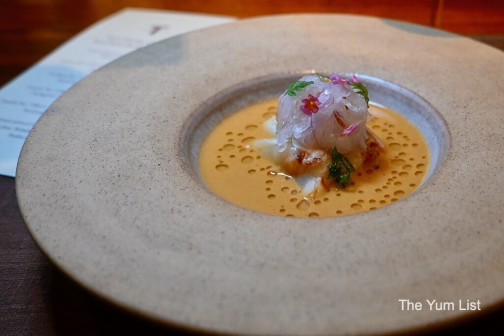 Beca Tea x Terra Dining Slipper Lobster