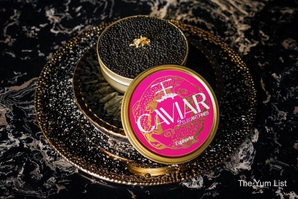 Elegant Fine Food Euphoria