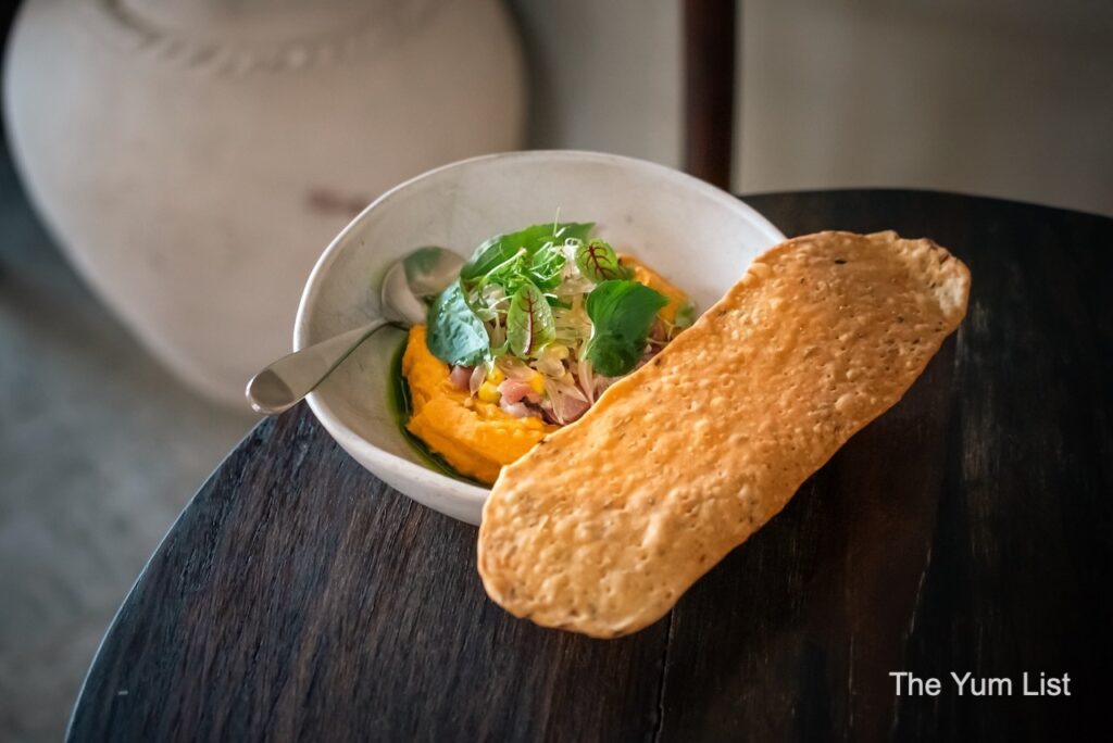 Tuna & Snapper Ceviche