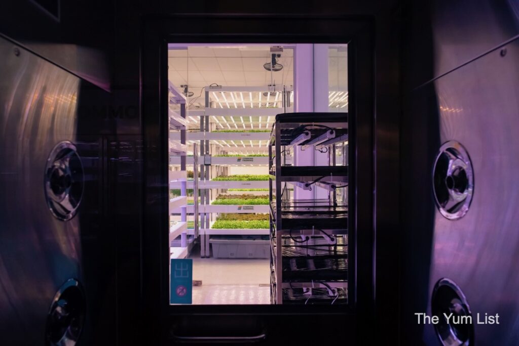 Commons Farming Urban Farm 