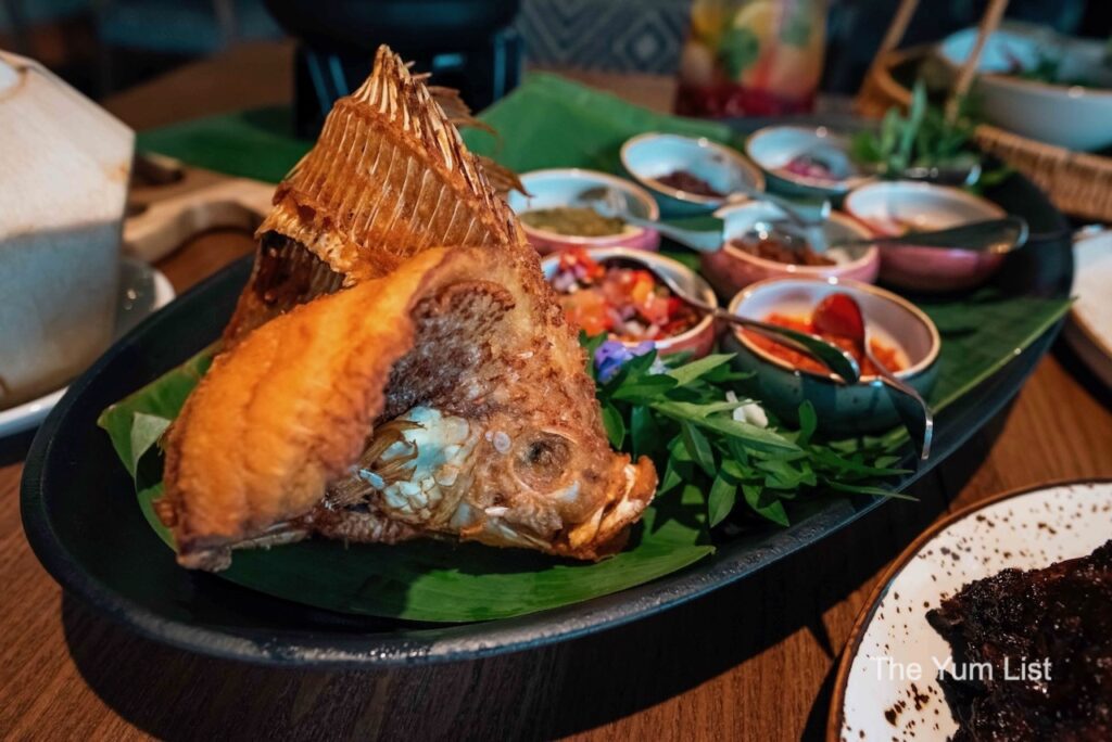 Dancing Fish