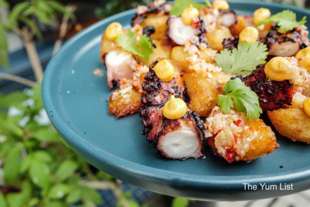 Grilled Octopus
