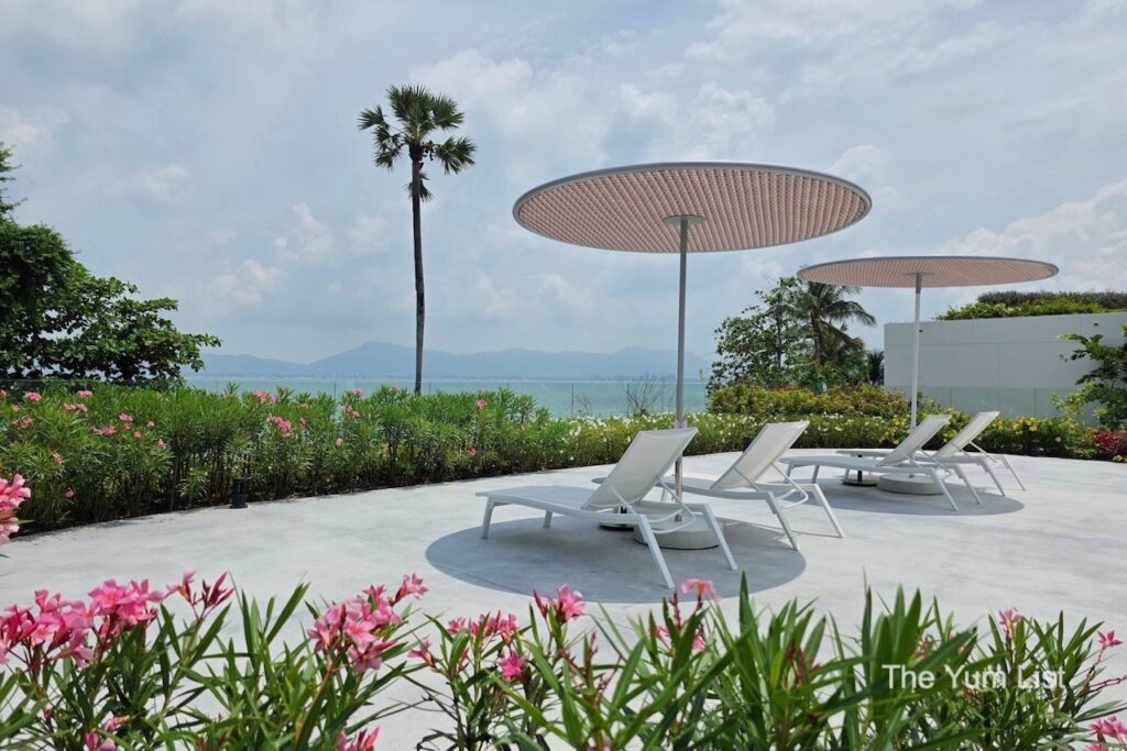 Deck Chairs Overlooking the Bay