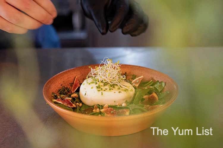Spanish Restaurant Burrata with Figs